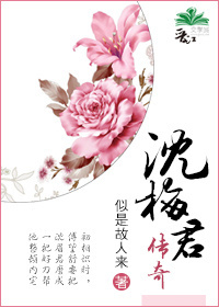 沈梅君傳奇小說封面
